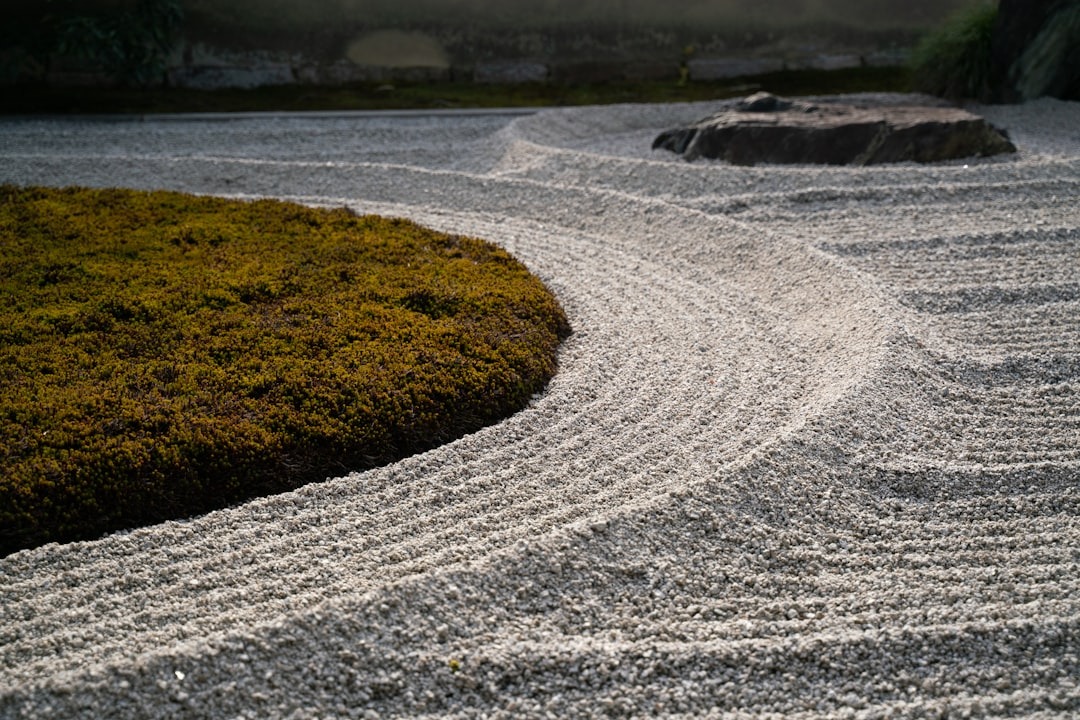 Meditation Article